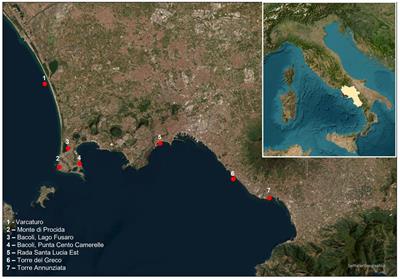 First application of a droplet digital PCR to detect Toxoplasma gondii in mussels